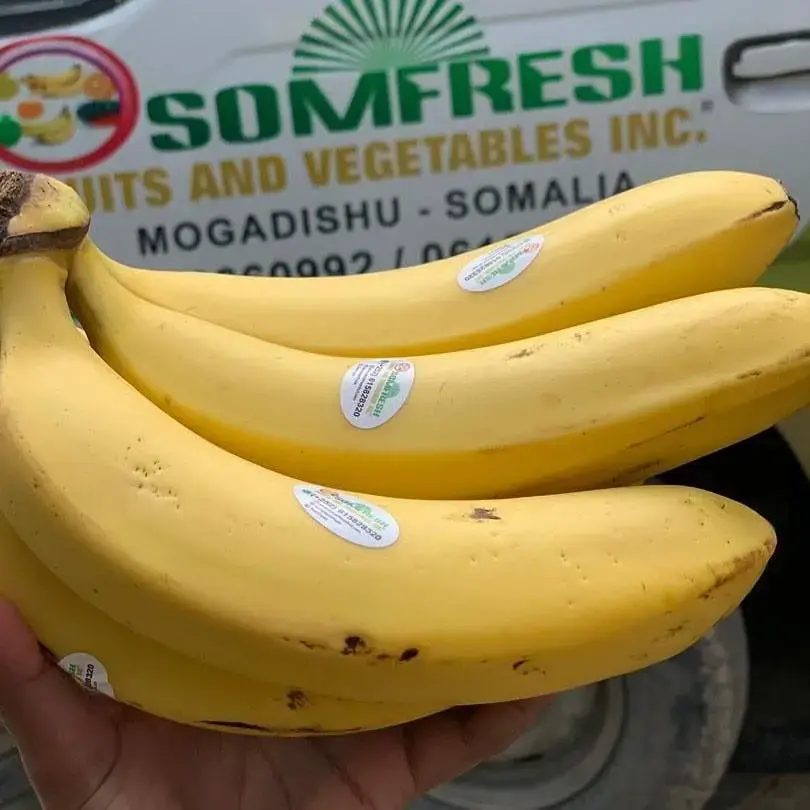 WhatsApp Image 2024-04-17 at 11.58.59 AM (1).webp