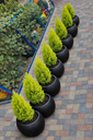 Fibre flower pots( round 33). We produce premium Durable fibreglass flower pots and planters for both indoor and outdoor space