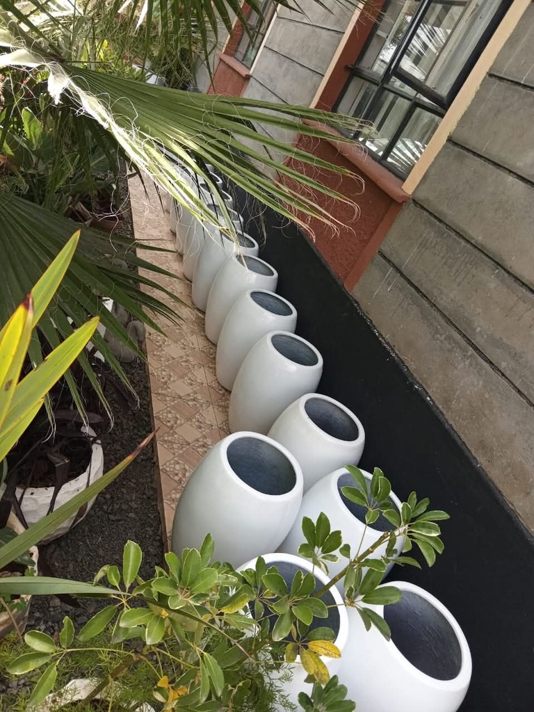 Fibre pot( ronto25) size: 27cm(D) x 50cm( H)
