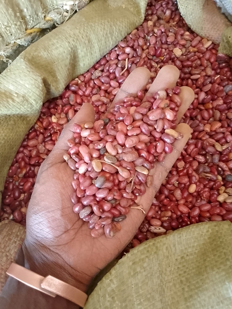 Nyayo Beans (Butterfly Kenyan Kidney Beans)