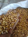 Yellow Beans