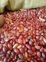 Wairimu Beans (Red Kidney Beans)