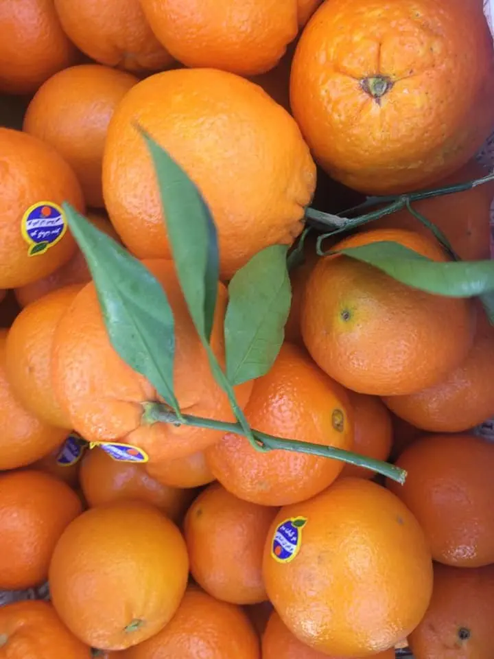 Somfresh Oranges — Per Piece