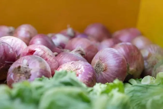 Somfresh Onions — Per Piece