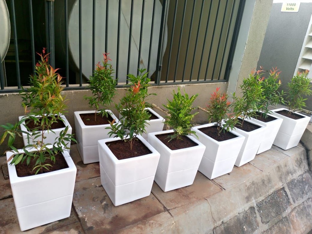 Fibreglass flower pots( Radar)