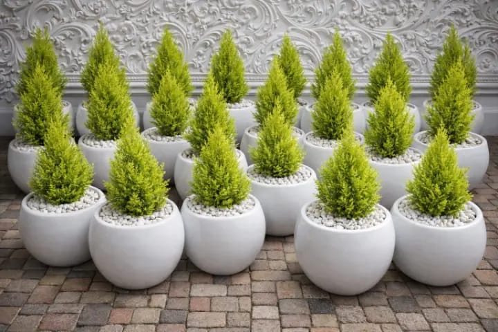 Fibre flower pots( round 33). We produce premium Durable fibreglass flower pots and planters for both indoor and outdoor space