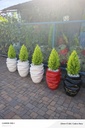 Fibre pots(small twist)size:30cm(diameter) x 50cm( height)