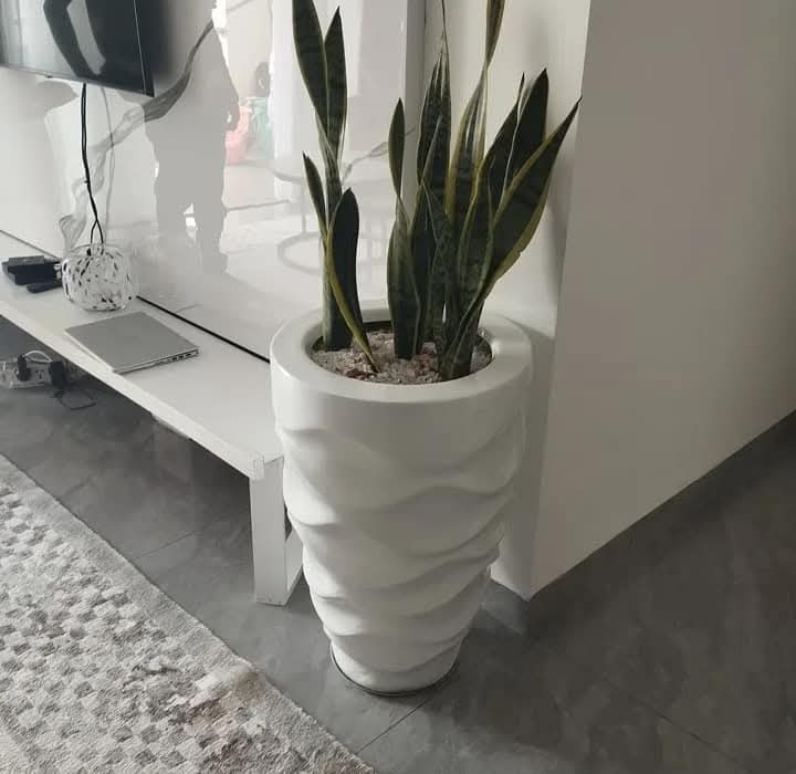 Fibre flower pots ( Virgo) size: 46cm(D) x 70cm( H)