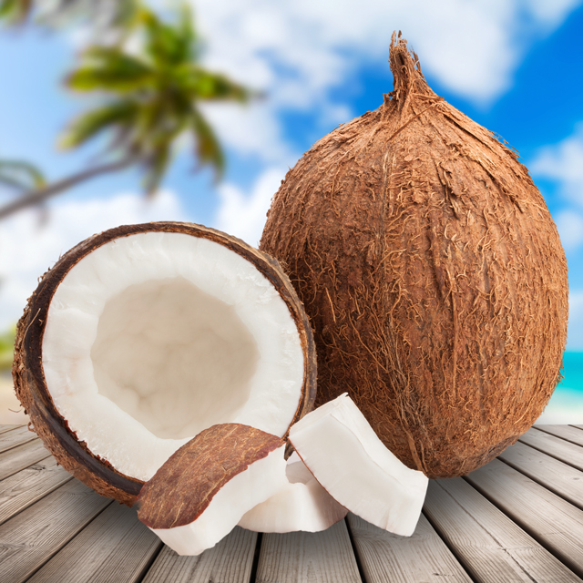 Kenyan Whole Tropical Coconut 🥥