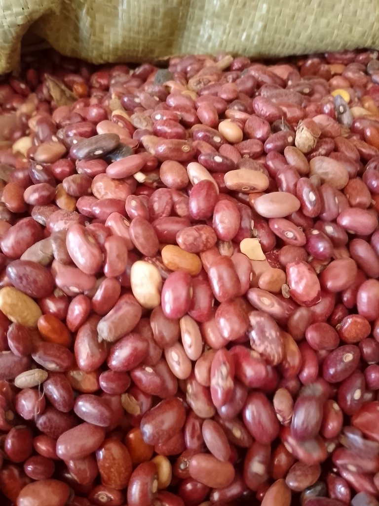 Wairimu Beans (Red Kidney Beans)