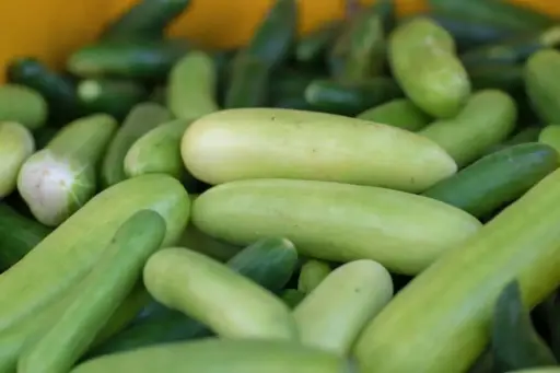 Somfresh Cucumber (Per Piece)