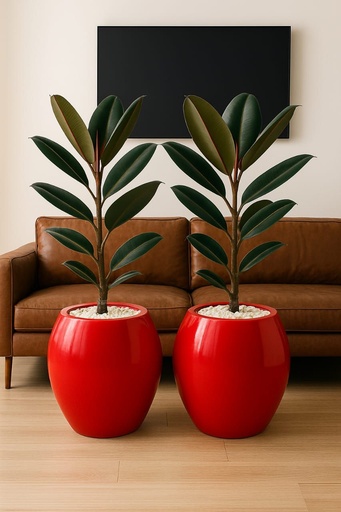 Fibreglass flower( combo) pot