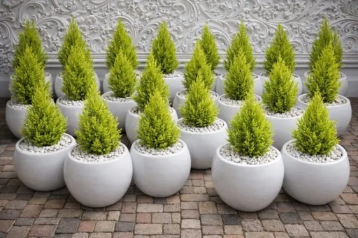 Fibre flower pots( round 33). We produce premium Durable fibreglass flower pots and planters for both indoor and outdoor space