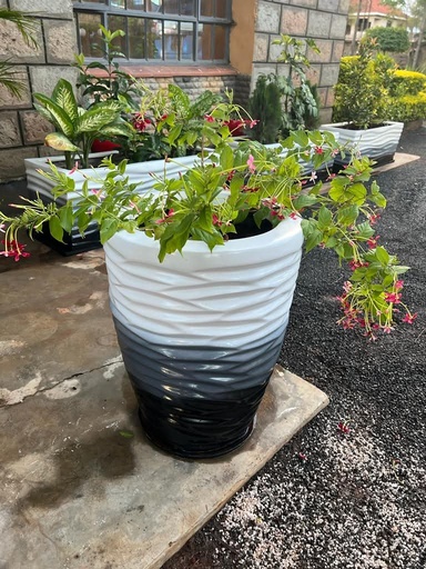Fibre pot( Maggie) size: 45cm(D) x 60cm( H)