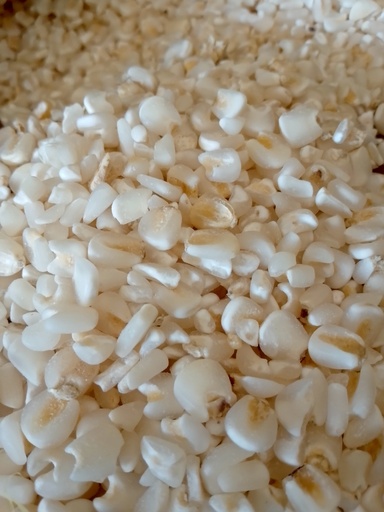 Maize (Muthokoi)