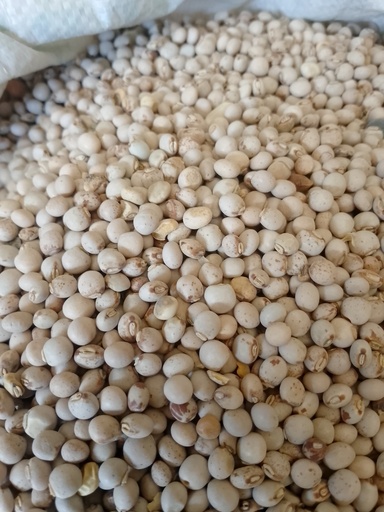 Mbaazi (Pigeon Pea)